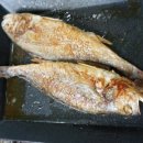 영월약수터 캠핑장 이미지