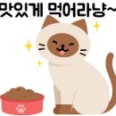 동산자연어린이집 이미지