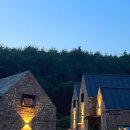 펜션비우고채우는숲 | [공지] 중형견동반가능 고급펜션, 비발디파크스키 타고 돌아와 불멍하는 홍천 반스힐리조트