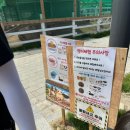아랑풀빌라 | [일상] 5/25-5/26 가평 코코키즈풀빌라 후기｜연휴에 급하게 예약한 키즈풀빌라 솔직 후기