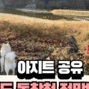 동창천체육공원 이미지