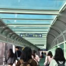 ㈜제주명품렌트카 | 제주도 렌트카 탑승 리뷰 후기 제주현대렌트카 제주명품렌트카 캐스퍼 렌트