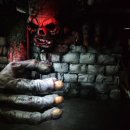 핫플레이스킹덤 이미지