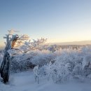 금천체육관 이미지