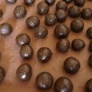 신기환 카카오 검색결과