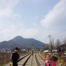 다온정숯불양념석쇠구이