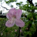 남명삼거리 이미지