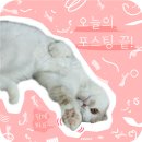 대만 타이베이 호텔 릴랙스 3 호텔 후기