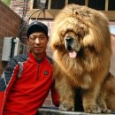 짱오농장 이미지