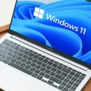 한사랑펫 이미지