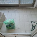 산호대로-80 이미지