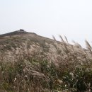 은경목장 이미지