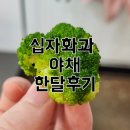 채소;야채집 | 십자화과 채소야채 한달먹어본후기 /브로컬리너마저