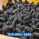 농업회사법인 유한회사 우리농장 이미지