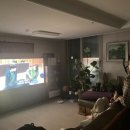 신안목장2 이미지