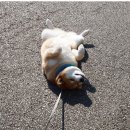 고집불통 이미지