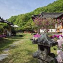 한옥솔솔 이미지