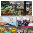 박미애 노래교실 이미지