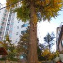 중동대림아파트 이미지