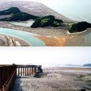 세어도 민박 이미지