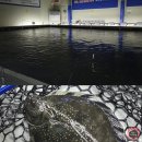 일산실내낚시터 추천, 참돔 광어 우럭 도다리 손맛 일산락실내바다낚시터 후기