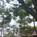 책나무그늘 작은도서관 이미지