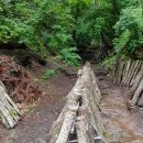 순조농장 이미지