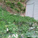 어답산민박 이미지