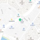 맥안경나무 이미지