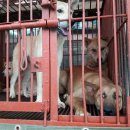 구포시장1 이미지