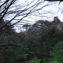 바위섬가든 이미지