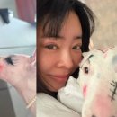부부리에 | 🎨 이혜영 반려견 낙서 논란, 동물학대일까 단순 장난일까?