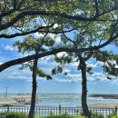 스타벅스기장임랑점 이미지