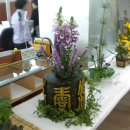 대명11동 주민센터 이미지