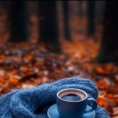 사람을 사랑한다 이미지