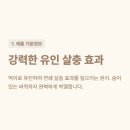 장마철 대비 바퀴벌레 세스코 업체도 사용하는 맥스포스 셀렉트 이지겔 후기