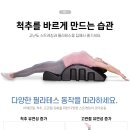 스파인바디