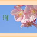 좋은인력사무소 이미지