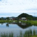 포도컨트리클럽 이미지