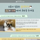 치료가 필요한 삼색냥이 코코와 나라에게 희망을 주세요~D-42 이미지