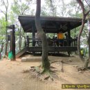 분당-335 이미지