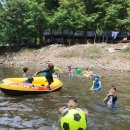 용인대 청당 태권도 이미지