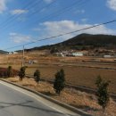 도화부동산공인중개사사무소 이미지