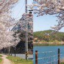 황룡사역사문화관 화장실 이미지