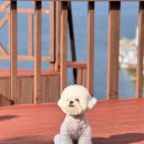 학섬식당펜션 이미지