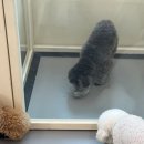 요리조리유치원 이미지