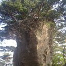 여삼리마을회관 이미지