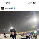 셀링피자전문 이미지