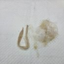24시 에피소드 동물 메디컬 센터 네이버블로그