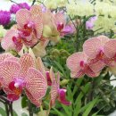 미소퀸산부인과의원 이미지